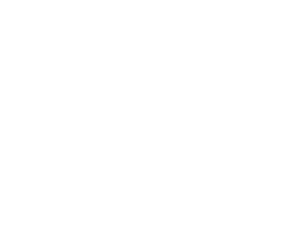 the brooklyn room logo